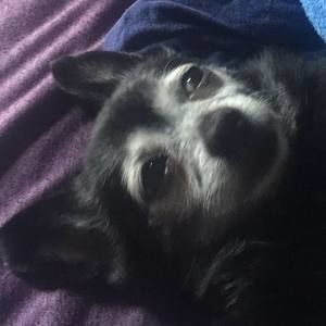 Meet your Posher, Leticia